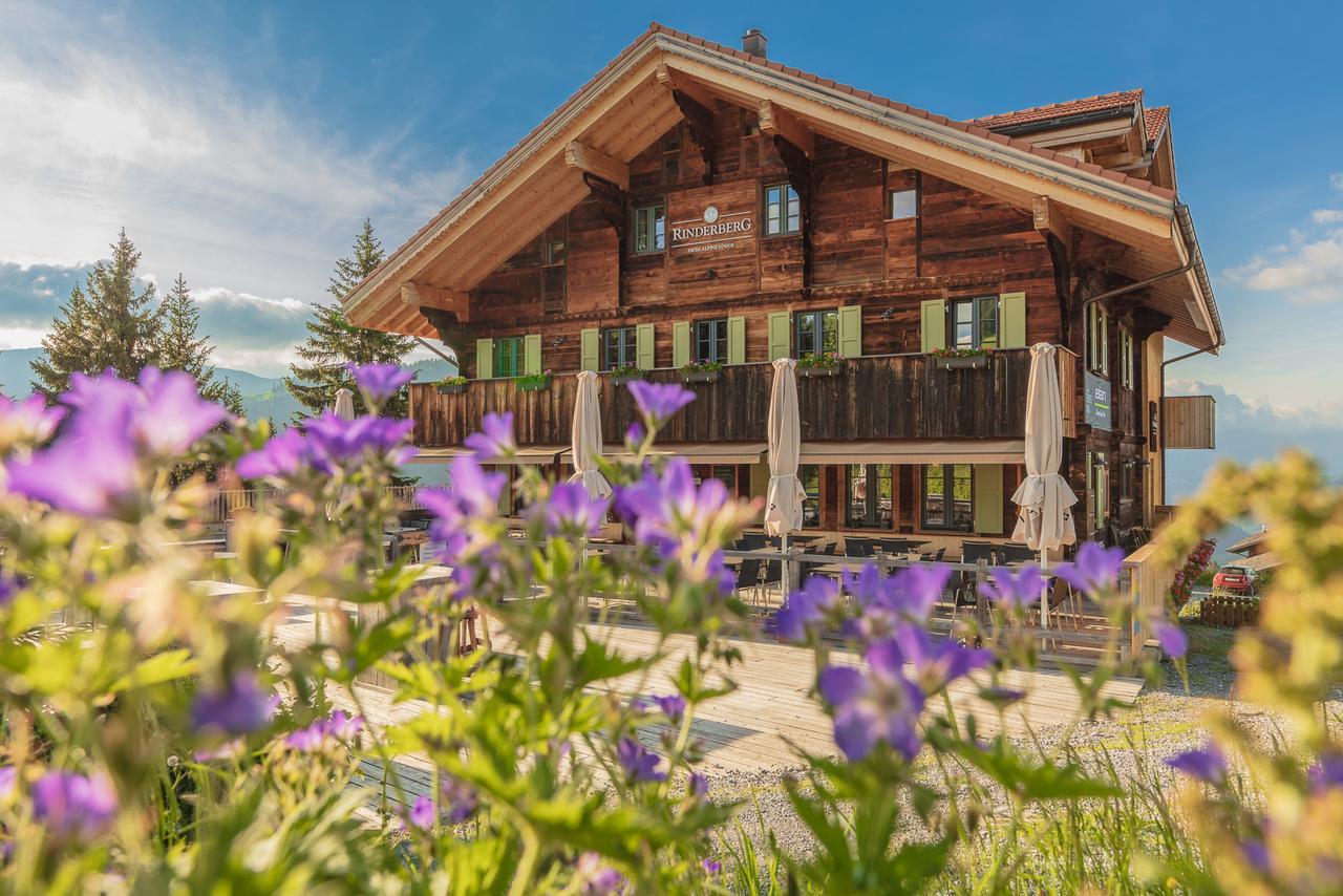 Rinderberg Swiss Alpine Lodge Zweisimmen Ngoại thất bức ảnh